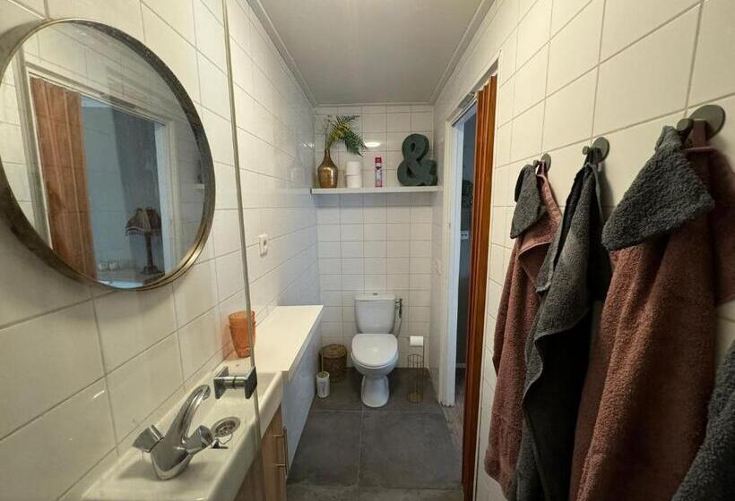 スタンダードルーム, Elefteria