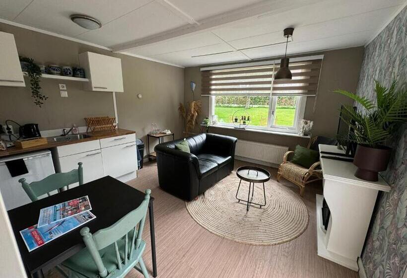 スタンダードルーム, Elefteria