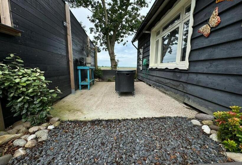 スタンダードルーム, Elefteria