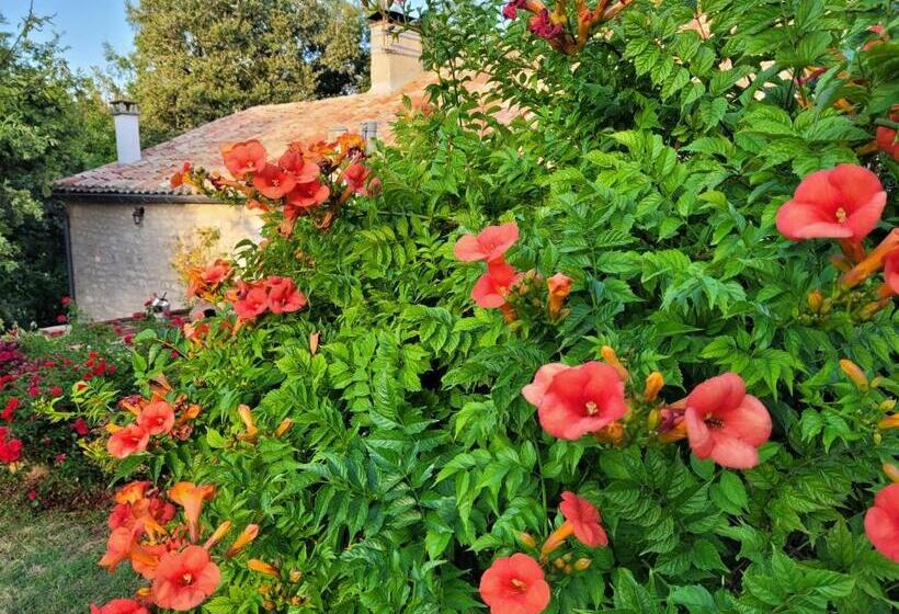 Стандартный Номер Кровать Кинг, Chez Berger, Ruime 2 Persoonskamer Met Kingsize Bed