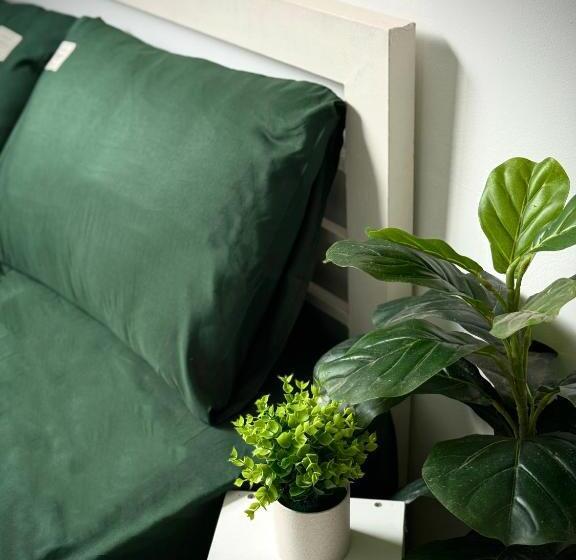 استودیوی لوکس, Homestay68