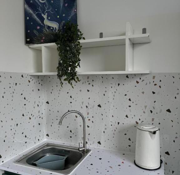 استودیوی لوکس, Homestay68