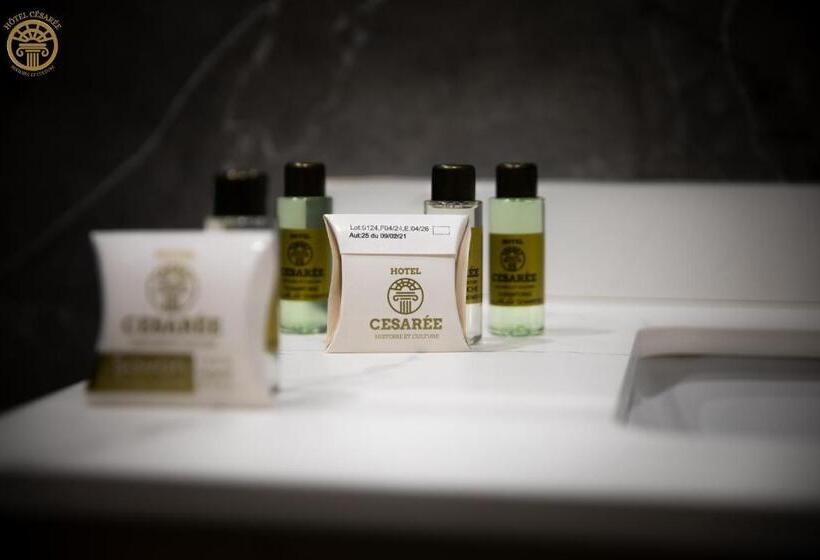 اتاق استاندارد, Hôtel Césarée