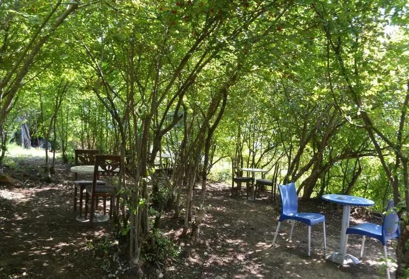 اتاق استاندارد چهار تخته, Camping & Guest House Murataj