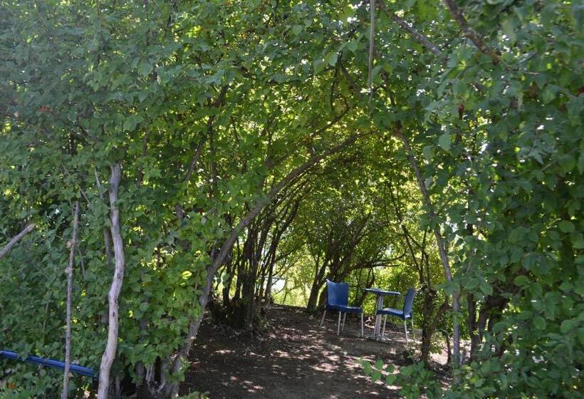 Четырехместный Номер Стандарт, Camping & Guest House Murataj