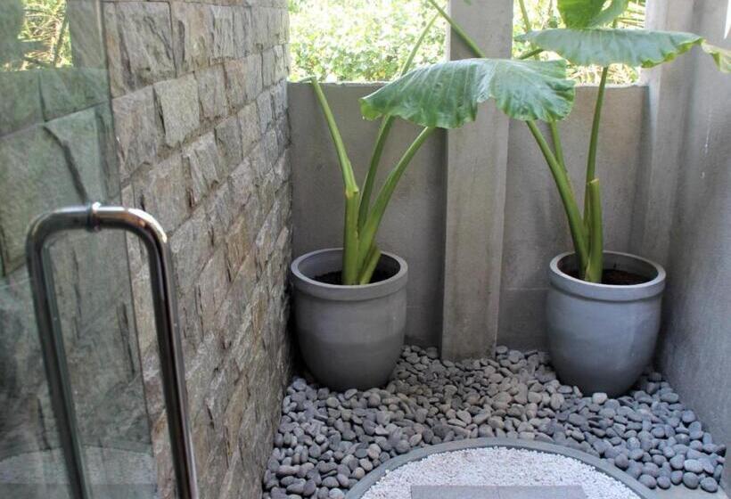 스탠다드 룸 풀장 전망, The Travellers Palm