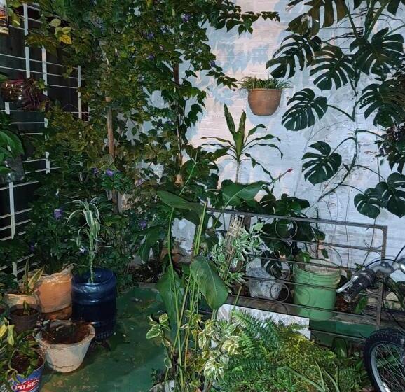 اتاق استاندارد با سرویس بهداشتی مشترک, La Petite Maison De Diana