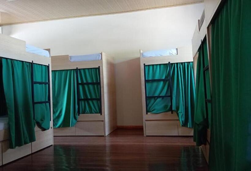 سرير فى غرفة مشتركة مزودة بحمام مشترك, Angatu Hostel Service