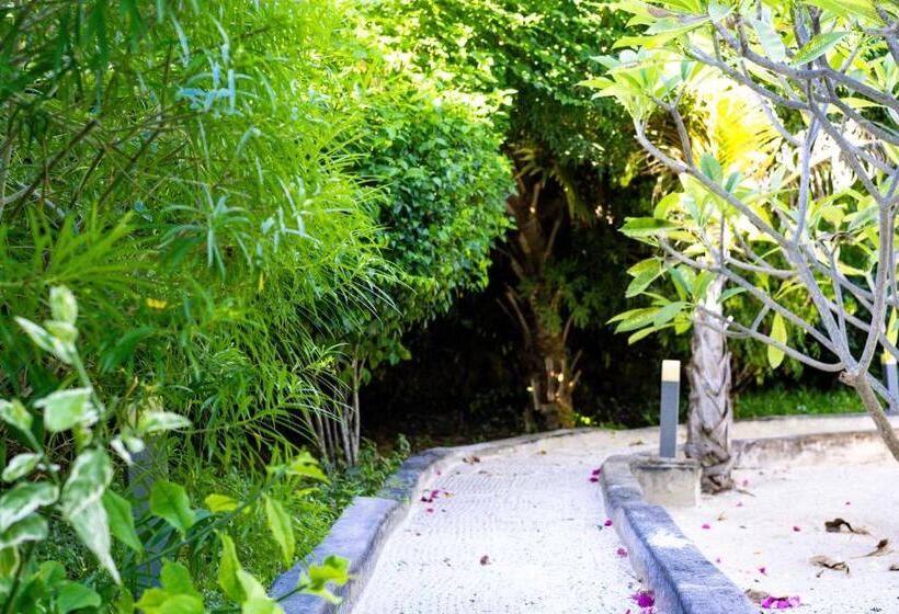 带海景的标准房, Jafferji Beach Retreat