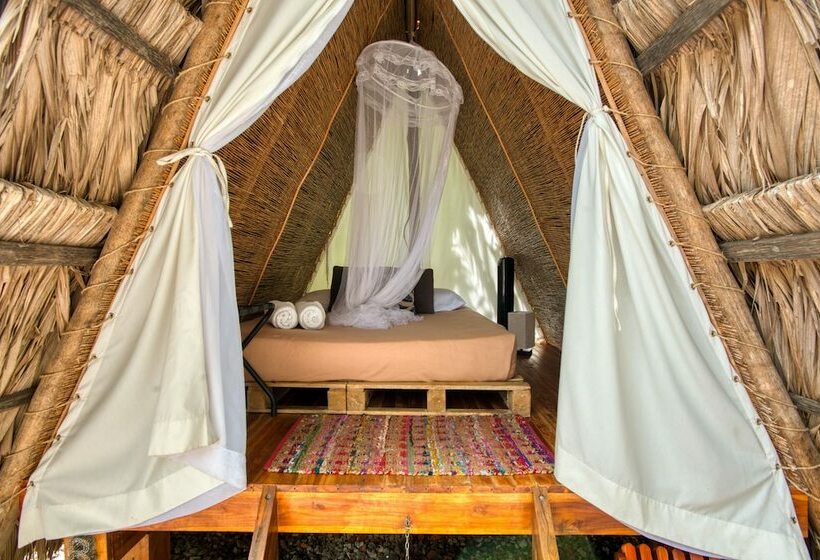 غرفة قياسية, Selina La Fortuna