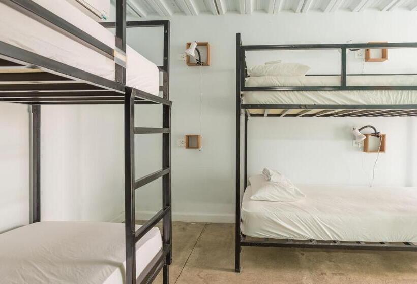 سرير فى غرفة مشتركه, Selina La Fortuna