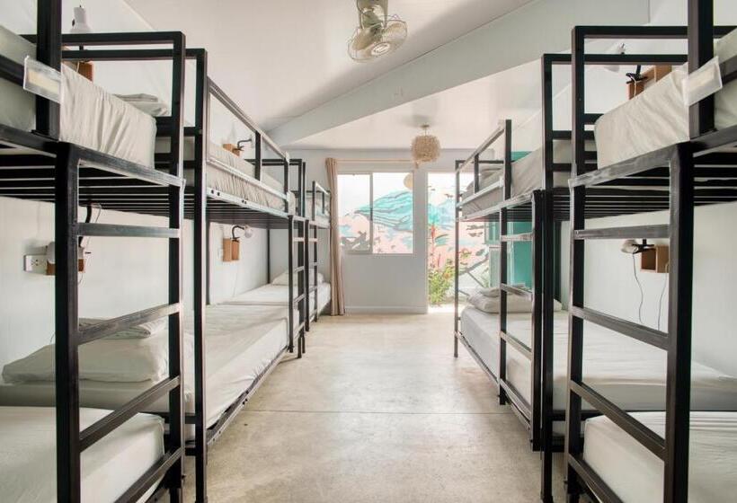 سرير فى غرفة مشتركه, Selina La Fortuna