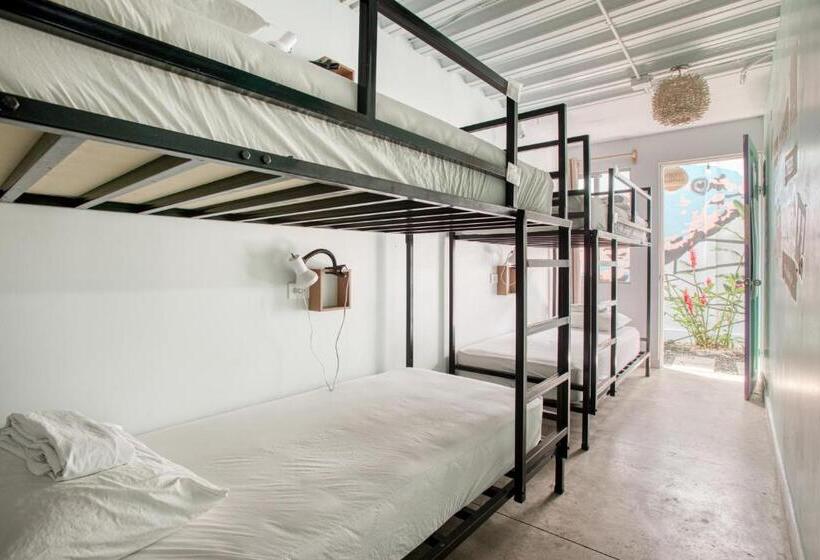 غرفة قياسية, Selina La Fortuna