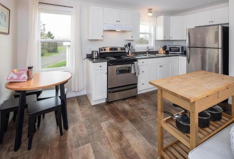 스탠다드 스튜디오 바다 전망, Fossil Farms Oceanside Retreat