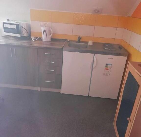 חדר סטנדרט, Penzion U Burešů Staré Sedlo