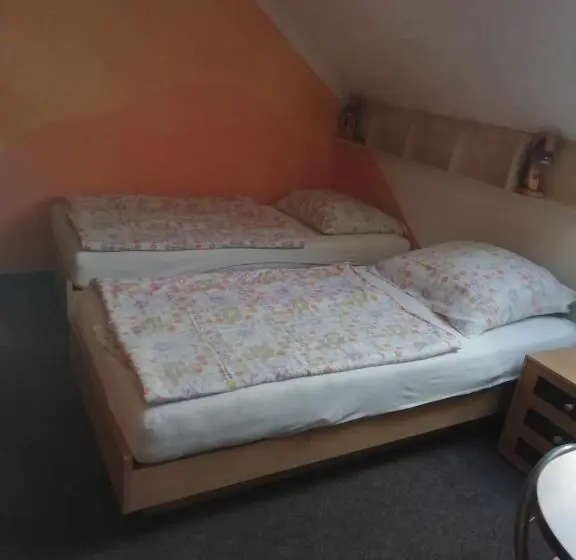 スタンダードルーム, Penzion U Burešů Staré Sedlo