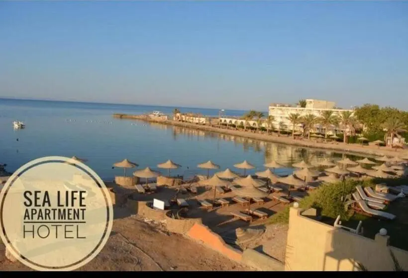 اتاق خانوادگی, Red Sea Apartment