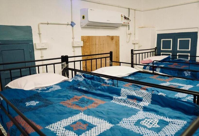 Bed in Shared Room, Dormnest