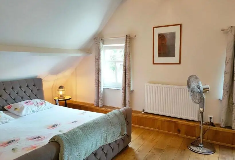 スタンダードルーム, B&b In De Roos