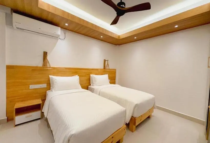 اتاق اکونومی, Pavona Maldives
