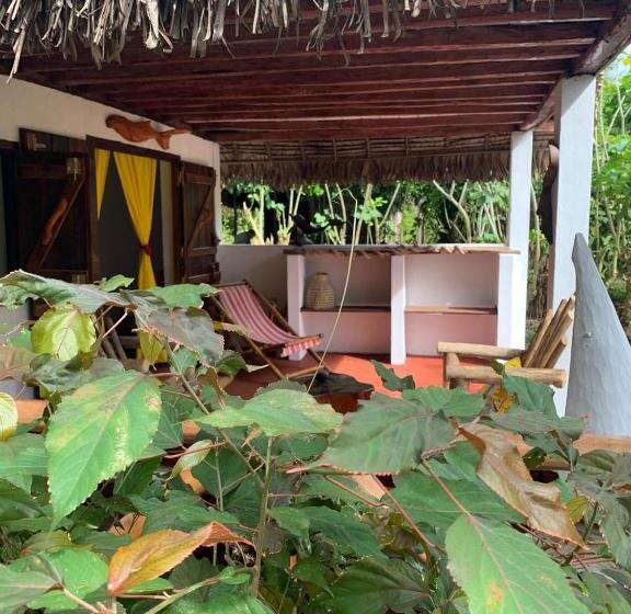 بانگلوی سوپریور, La Buvette