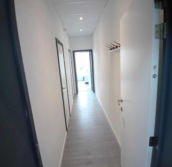 Номер Стандарт, Leuze Escale