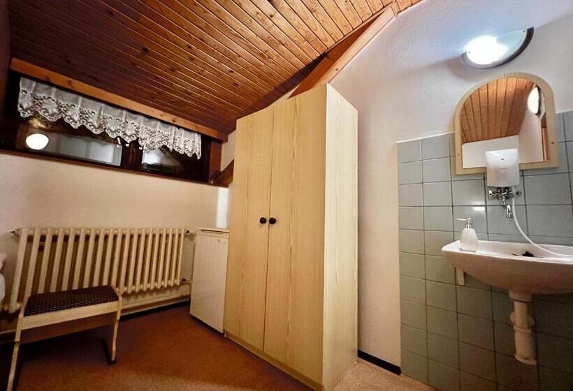 Номер Стандарт Совместная Ванная, Penzión Hrubjak   Turistické Izby