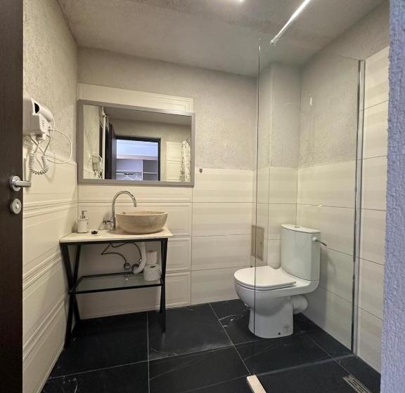 スタンダードルーム, Pensiunea Casa Viselor