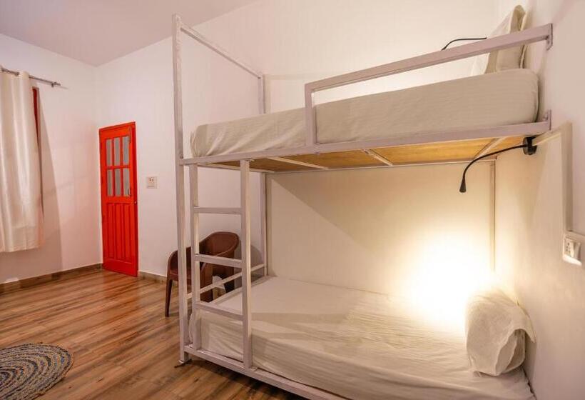 高品质的四人房间, Earth Homes Bir