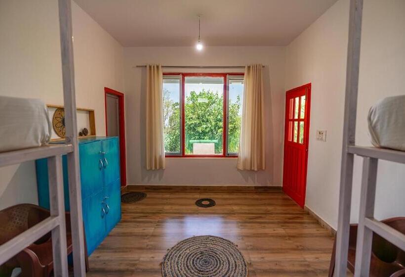 高品质的四人房间, Earth Homes Bir