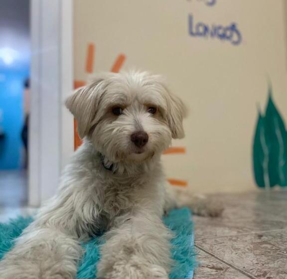 Standart Oda, Meraki Hostel E Turismo