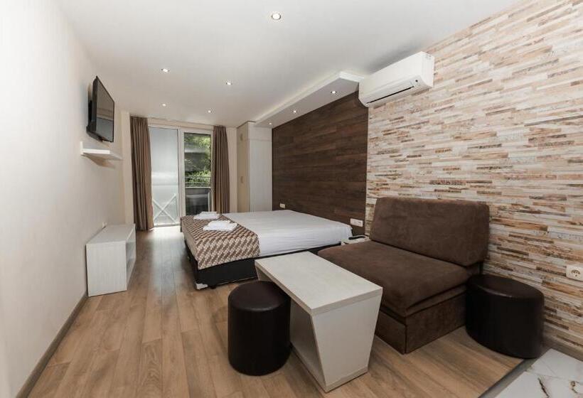 Estudio Estàndard, Dias