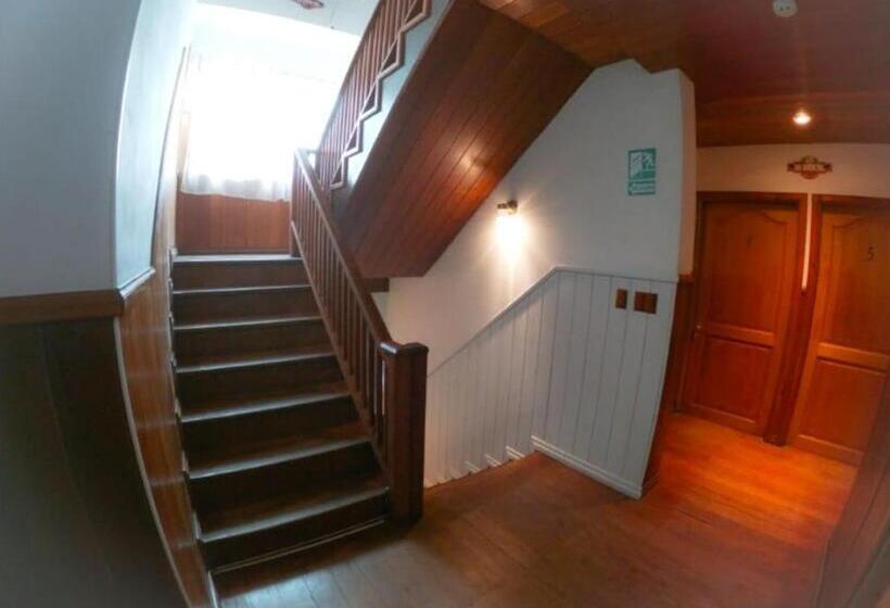 Номер Стандарт, Paraiso Caribeño