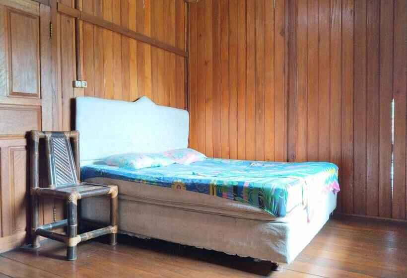 Семейный Номер, New Sabrina