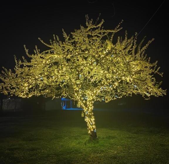 Chambre Standard Lit King Size, Guest House La Palazzina