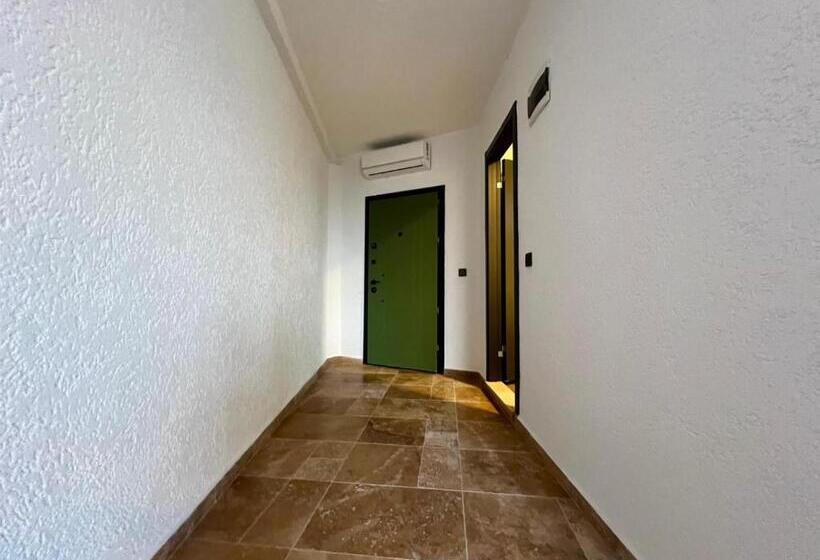 غرفة قياسية, Elm