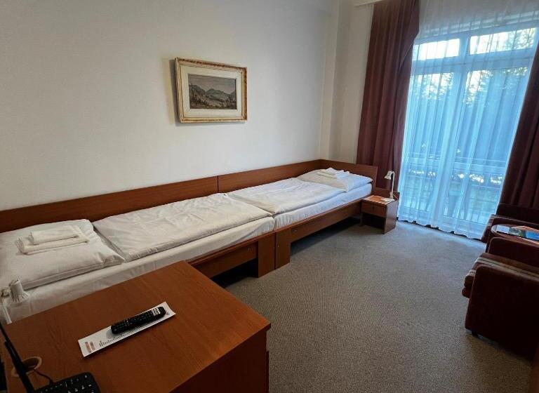 スタンダードルーム, Palace   Kúpele Sliač