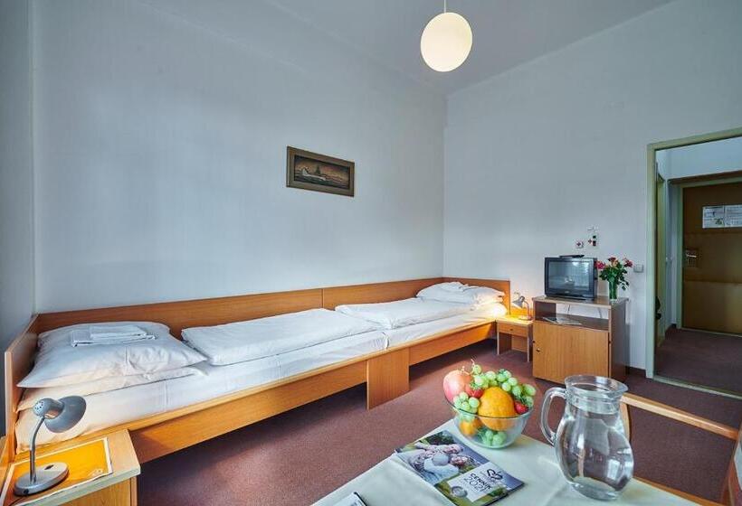 スタンダードルーム, Palace   Kúpele Sliač