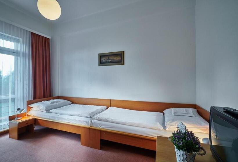 スタンダードルーム, Palace   Kúpele Sliač