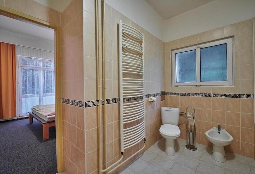 バルコニー付きデラックスルーム, Palace   Kúpele Sliač