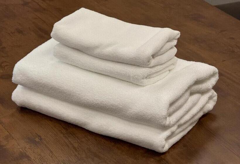 스탠다드 룸 가든 전망, 掬水 Kikusui