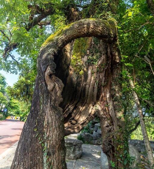 غرفة ديلوكس, Guilin Peach Blossom Bay