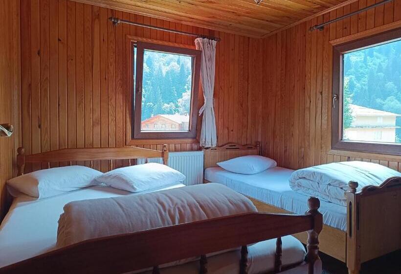 חדר סטנדרט, Ayder Petek Apart Otel