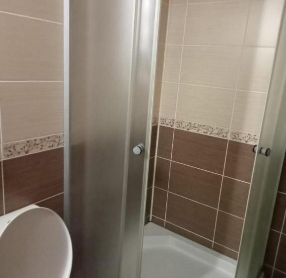 חדר סטנדרט לשלושה, Ayder Petek Apart Otel