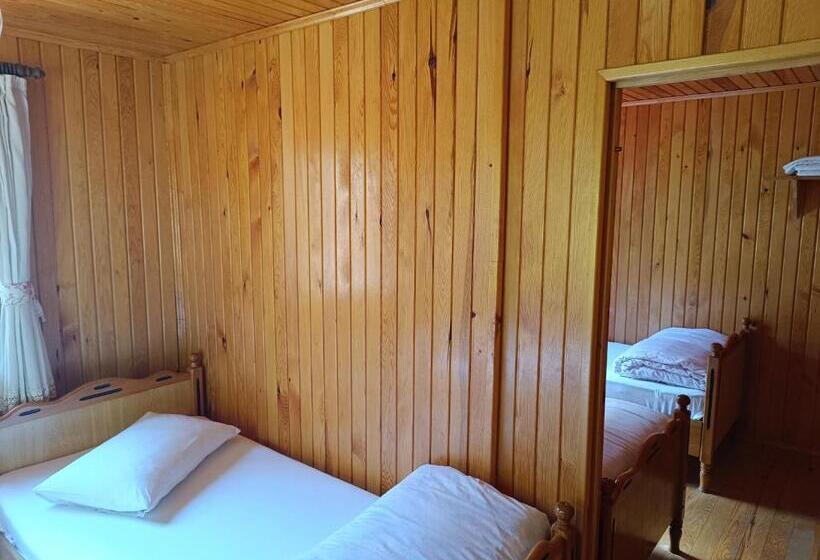 חדר סטנדרט לארבעה, Ayder Petek Apart Otel