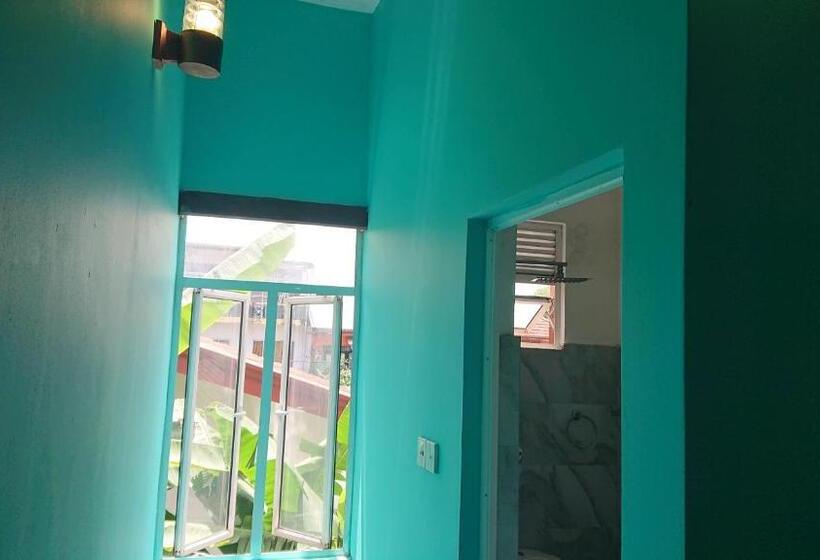 غرفة قياسية فردية, Canaan Music