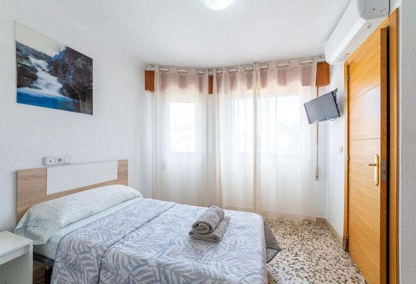 高级单人间, Hostal Moya