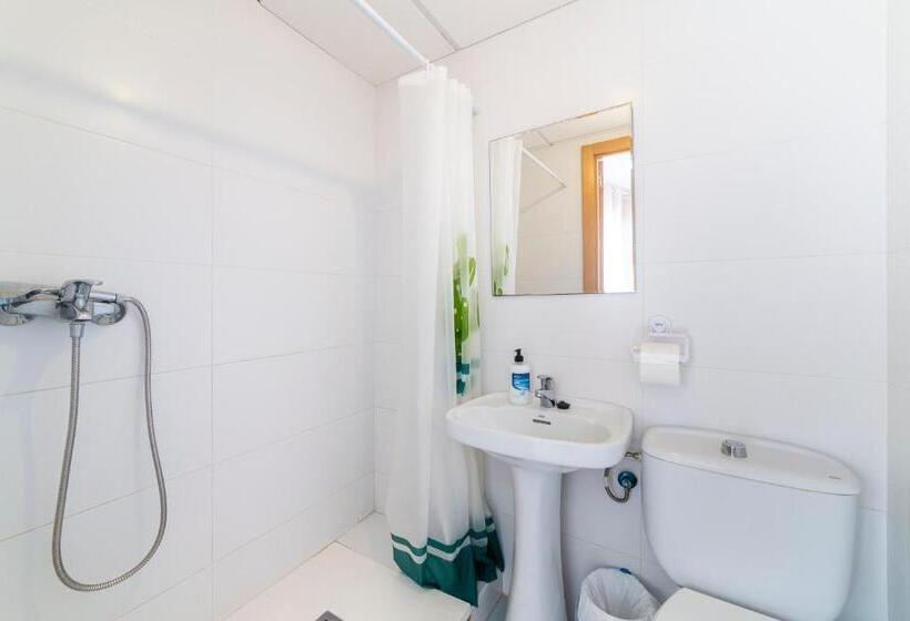 高级单人间, Hostal Moya