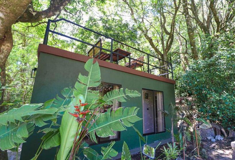 高级套房, La Casa De La Montaña