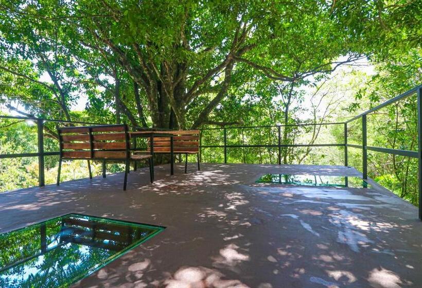 高级套房, La Casa De La Montaña